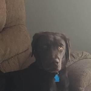 Meet your Posher, Mike